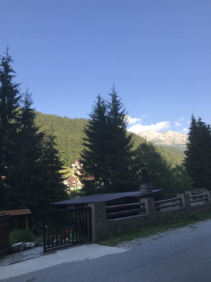 Pensiunea Mario Moeciu De Sus Bagian luar foto